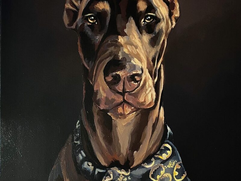 Strong look - strong soul - LiwciakArt