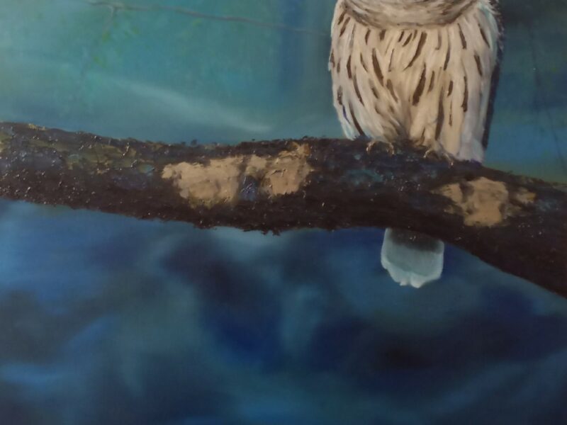 Nocny obserwator - Agata Fiedorczuk