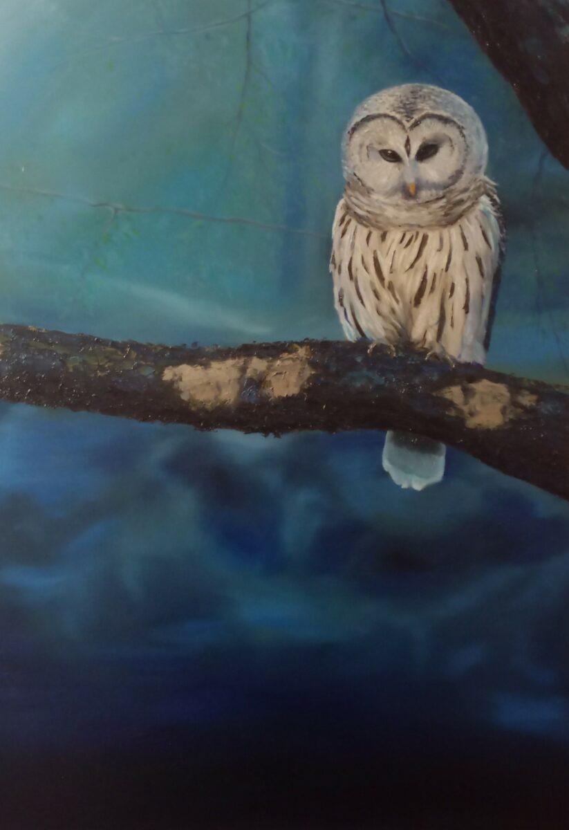 Nocny obserwator - Agata Fiedorczuk