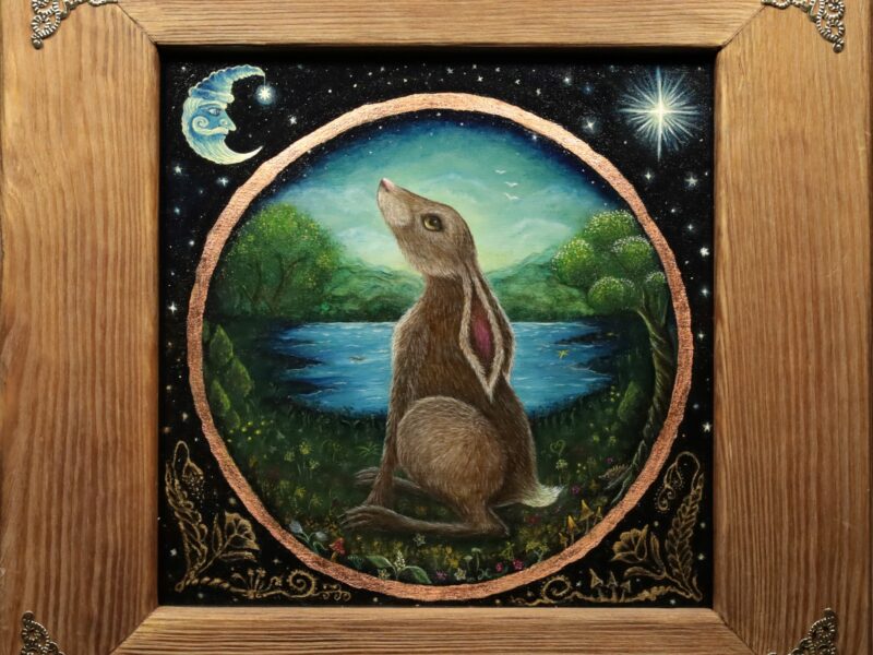 Leśne historie - Alicja Nowak